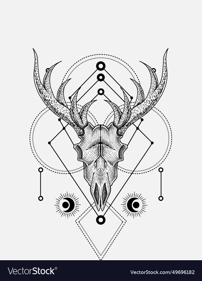 Deer skull head Royalty Free Vector Image - VectorStock