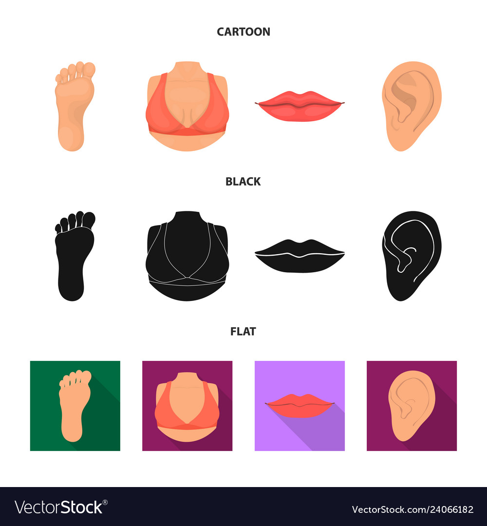 Isolated object of body and part icon set vector image Isolated object of body and part icon set