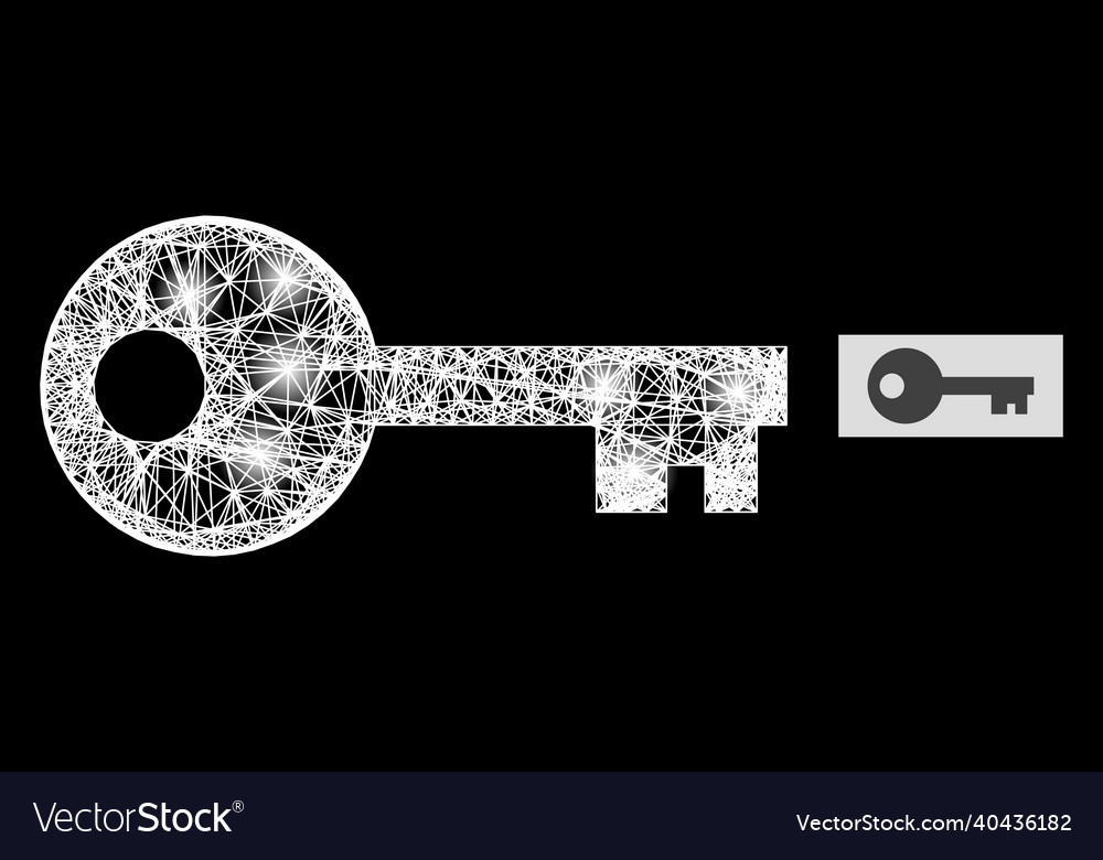 Shining linear mesh key with lightspots vector image Shining linear mesh key with lightspots