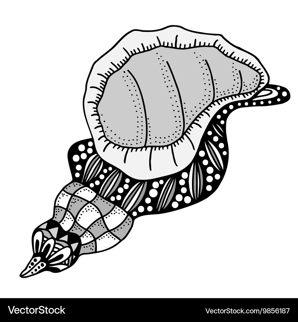 Hand drawn seashell Royalty Free Vector Image - VectorStock