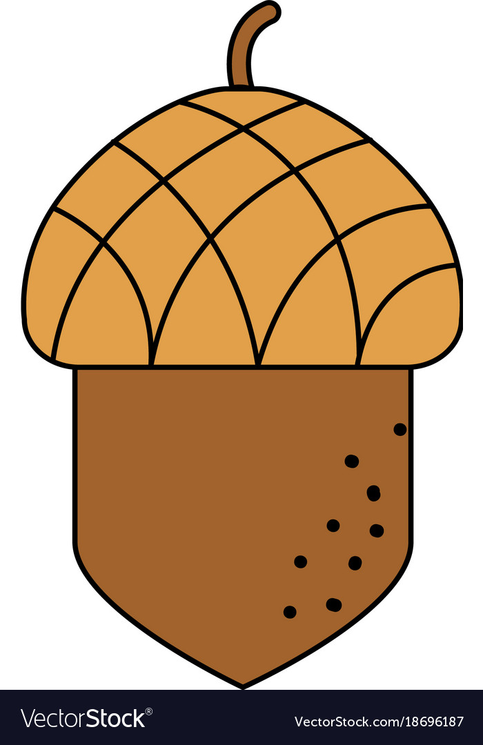 Isolated acorn design Royalty Free Vector Image