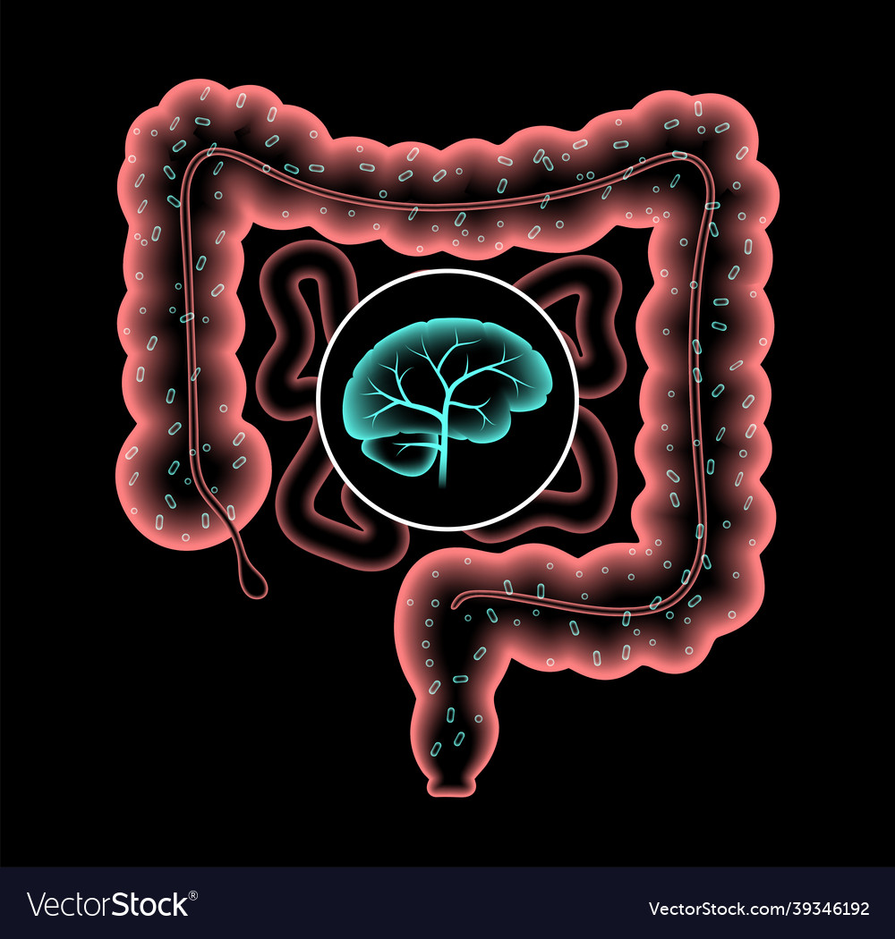 Gut-Brain Axis Connection