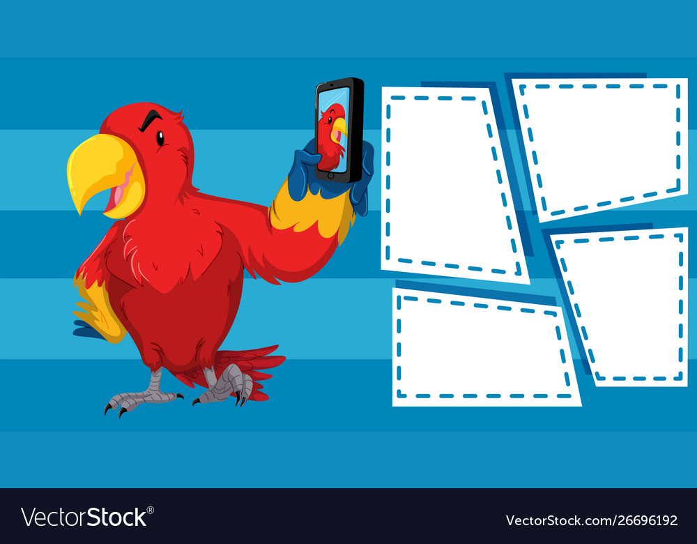 Parrot taking selfie with empty frame templates
