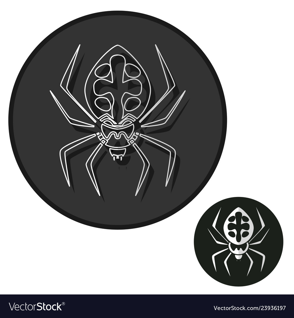 Spider icon isolated sign symbol and flat style vector image Spider icon isolated sign symbol and flat style