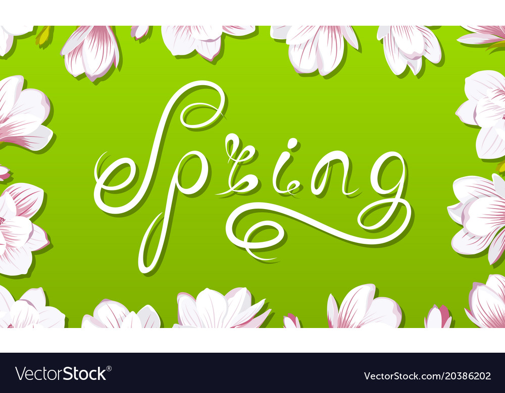 Spring border frame with beautiful magnolia Vector Image