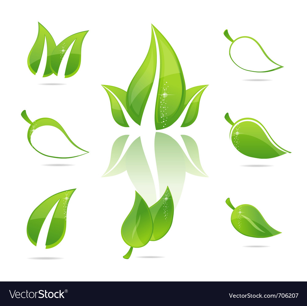 Green eco leaves Royalty Free Vector Image - VectorStock