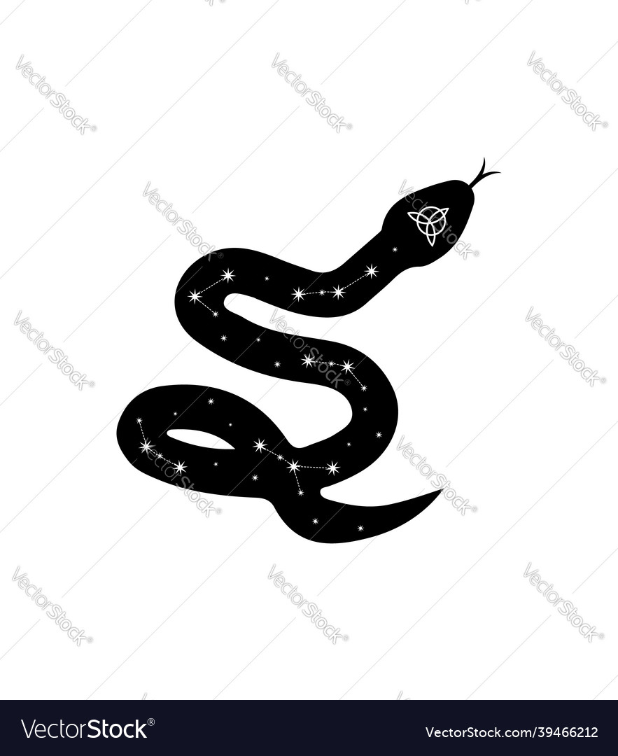Magic snake in boho style with constellations Vector Image Magic snake in boho style with constellations