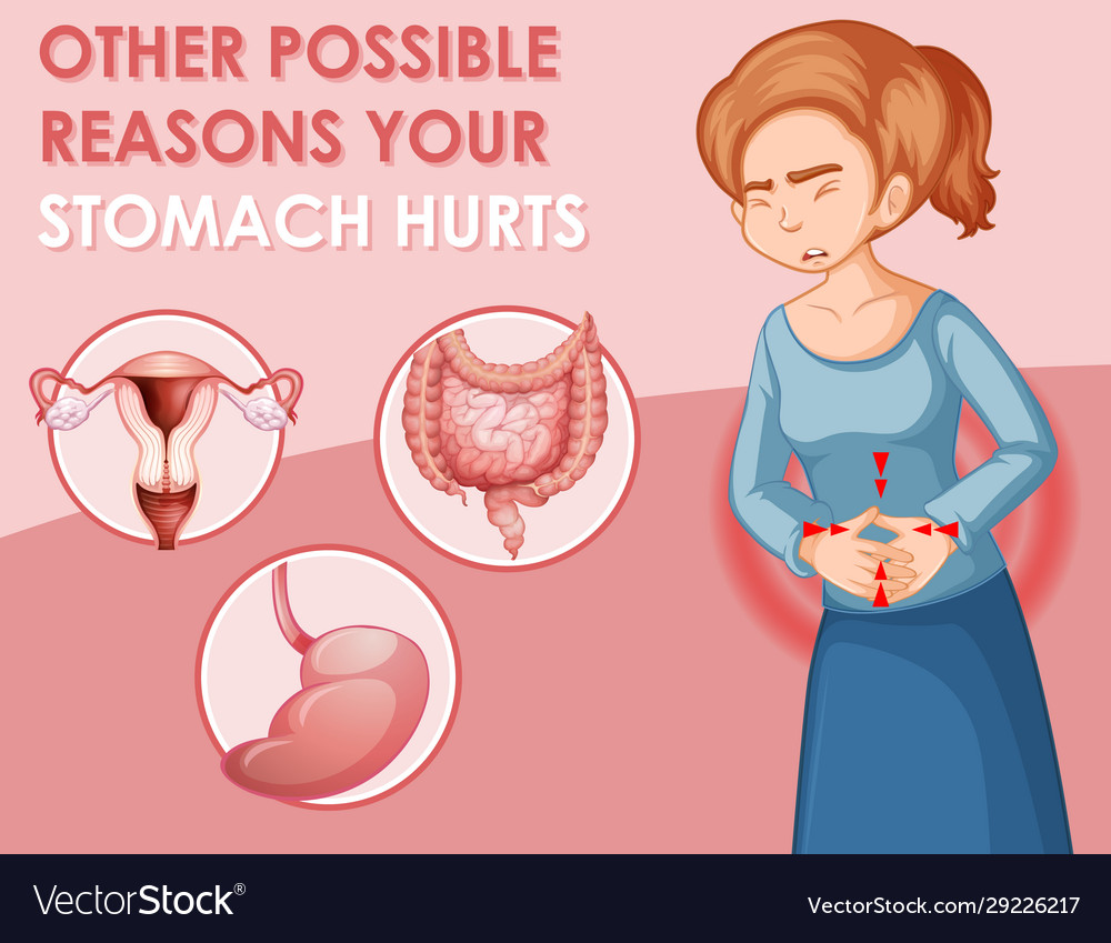 Diagram Showing Different Stomach Hurts In Woman Vector 29226217 