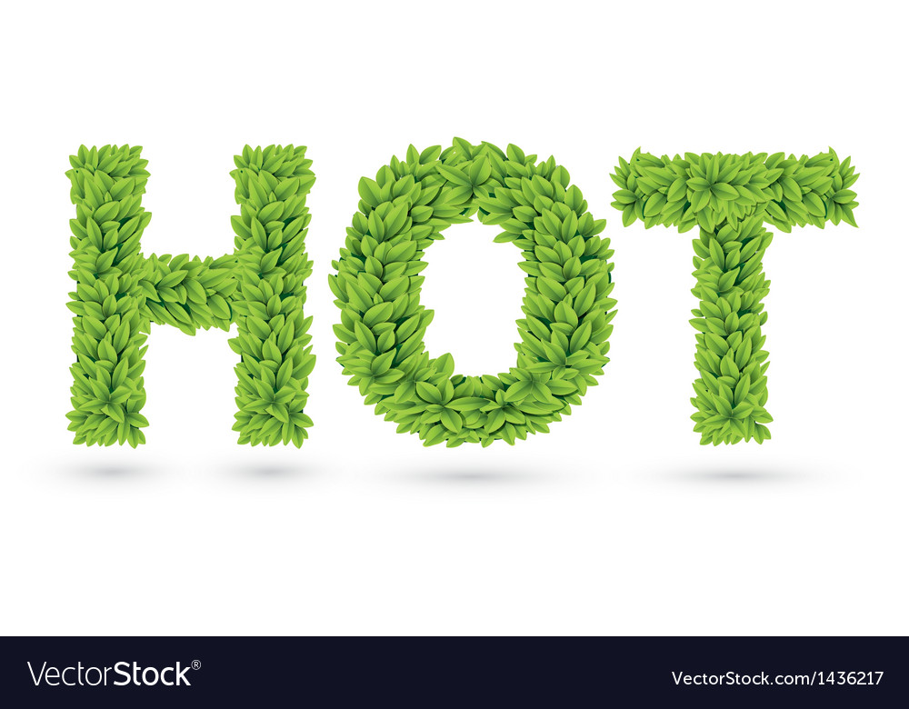 Hot text of green leaves Royalty Free Vector Image