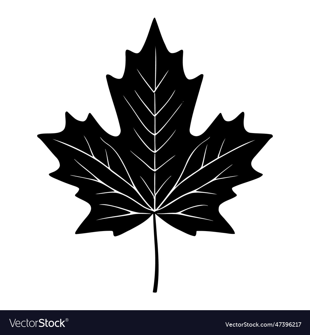 Maplle Leaf Silhouette Logo Isolated On White Vector Image