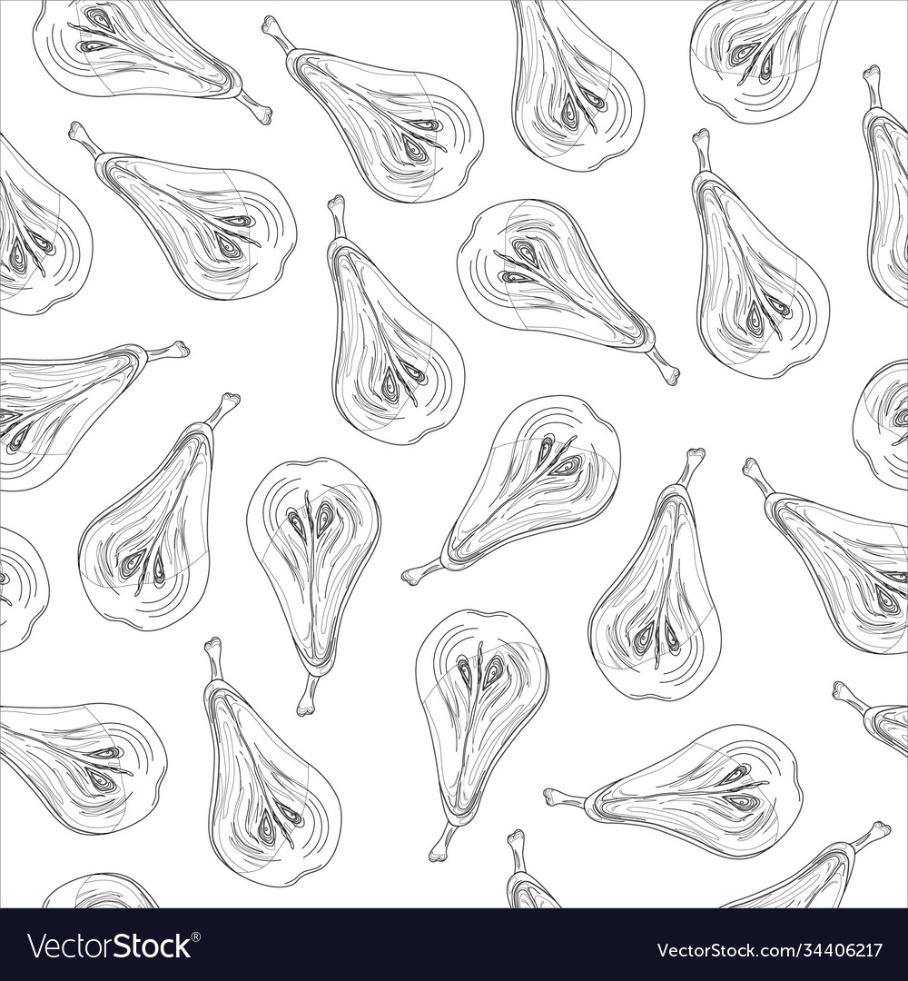 Realistic pear half slice sketch pattern vector image Realistic pear half slice sketch pattern