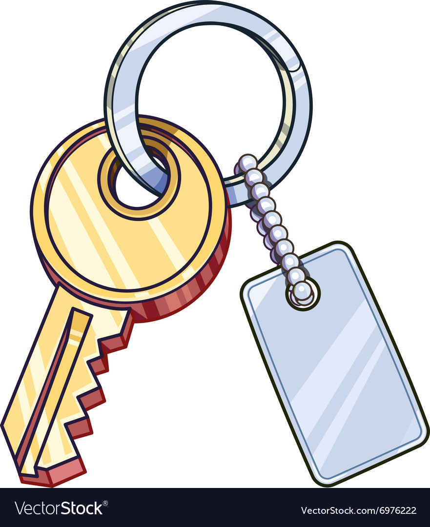 Key with keychain Royalty Free Vector Image - VectorStock