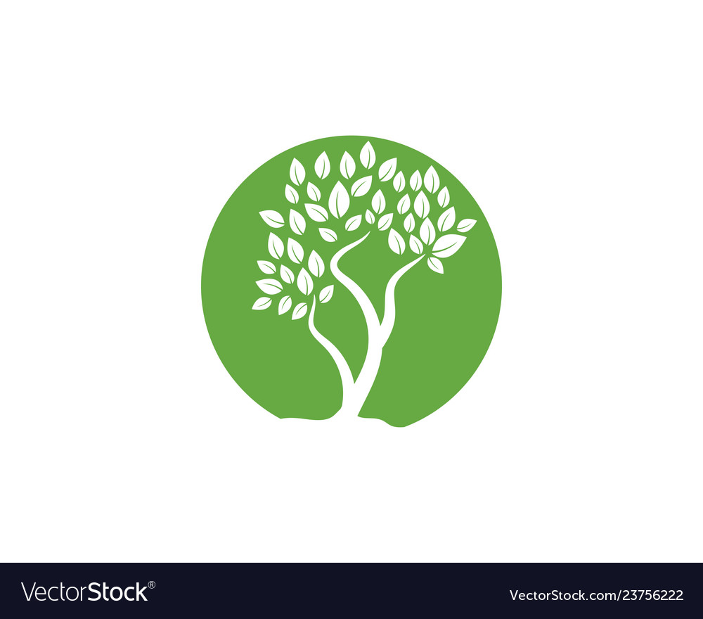 Logos of green tree leaf ecology nature Royalty Free Vector