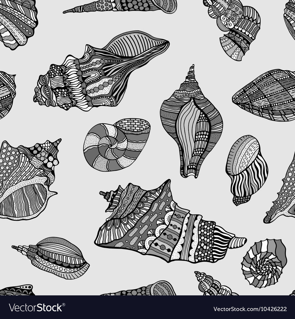 Sea shell pattern background