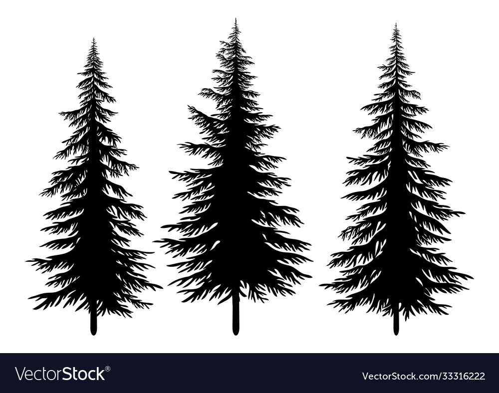 Set christmas trees Royalty Free Vector Image - VectorStock