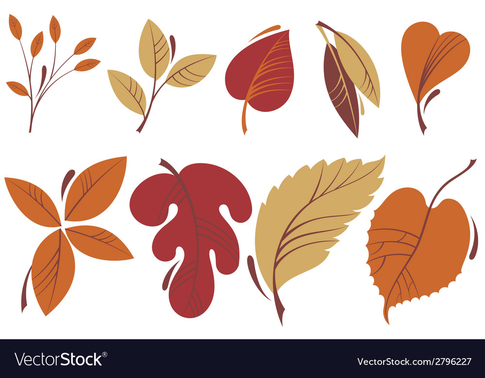 Autumn Leaves Royalty Free Vector Image - Vectorstock