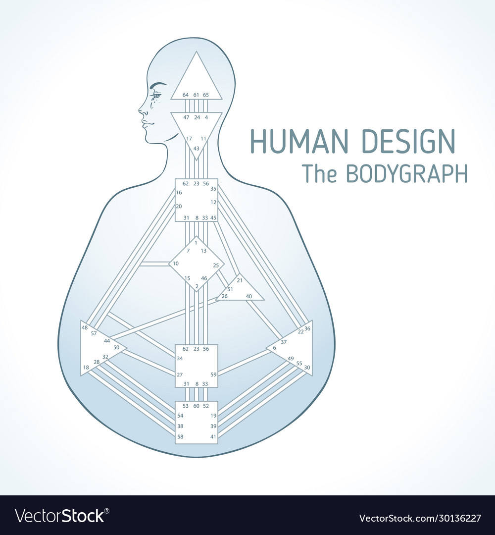 Human design bodygraph chart design Royalty Free Vector