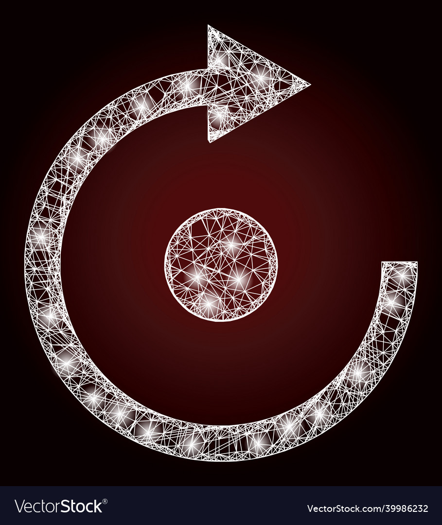 Glowing net mesh rotate with light spots vector image Glowing net mesh rotate with light spots