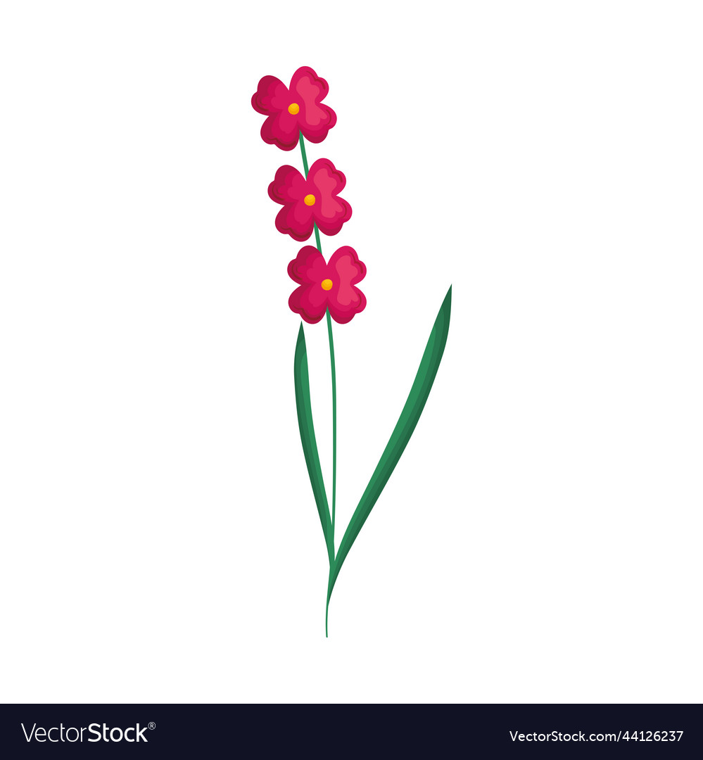 Pink flowers stem Royalty Free Vector Image - VectorStock