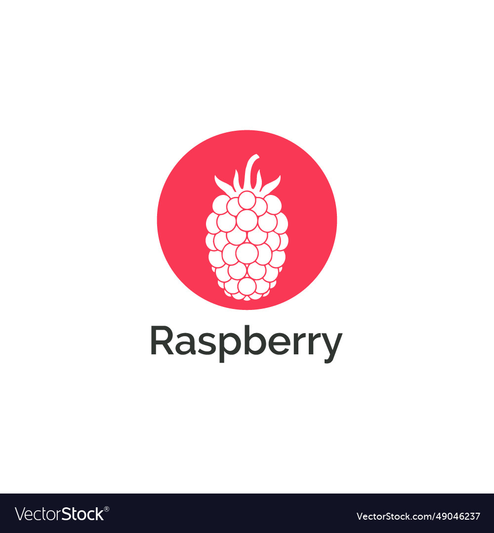 Raspberry logo Royalty Free Vector Image - VectorStock