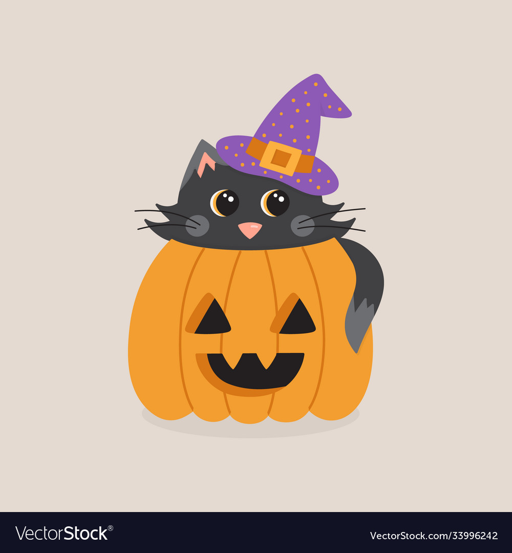 Cute cat in pumpkin