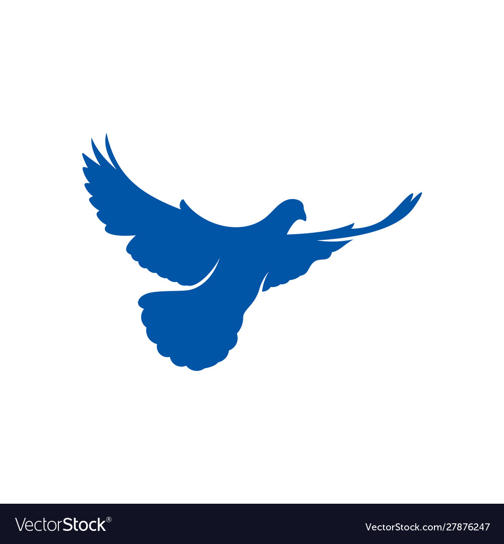 Dove logo design concept bird logo template icon Vector Image