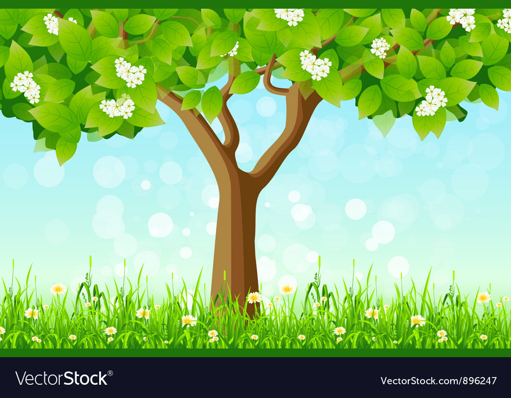 Green tree in the grass Royalty Free Vector Image