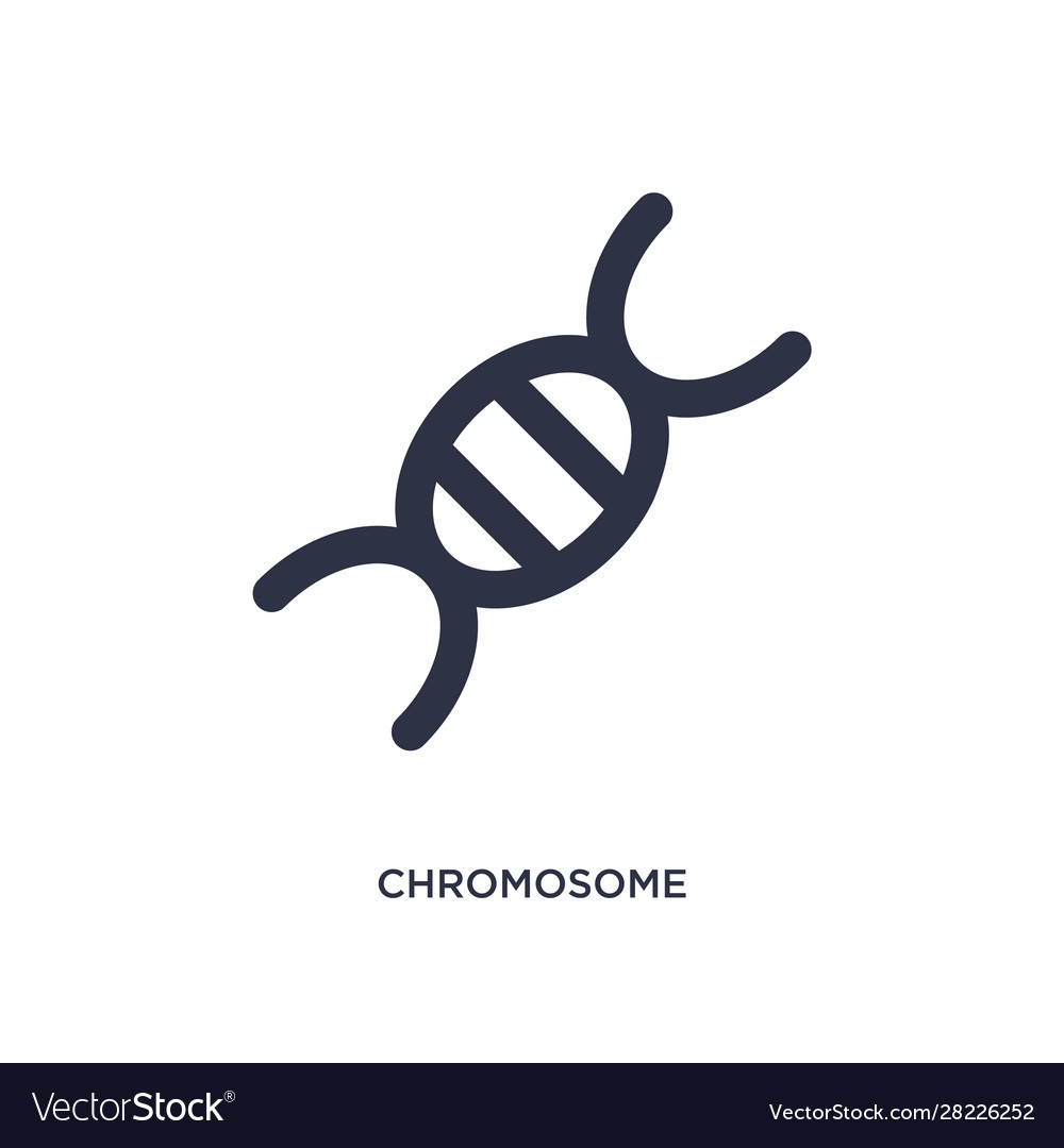 Chromosome icon on white background simple Vector Image