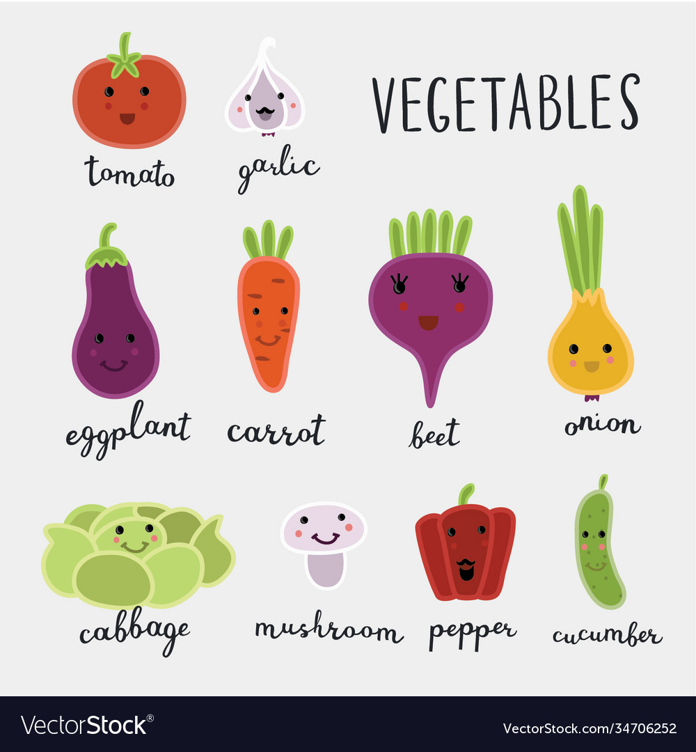 Different types vector image Different types
