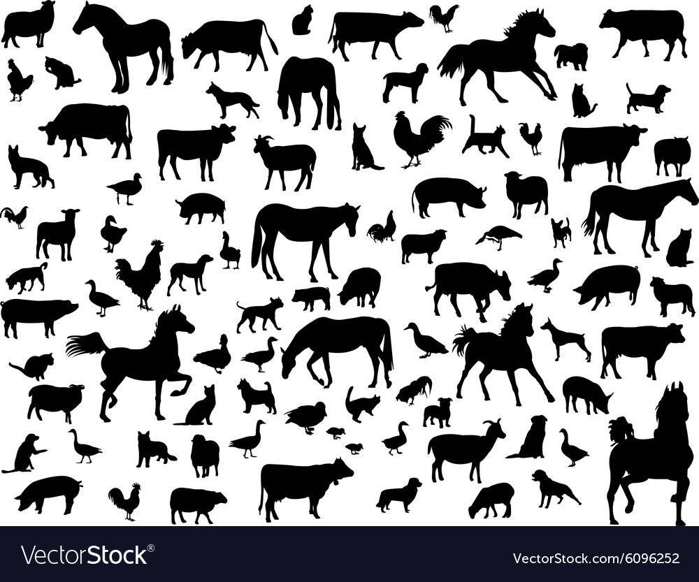 Farm animals
