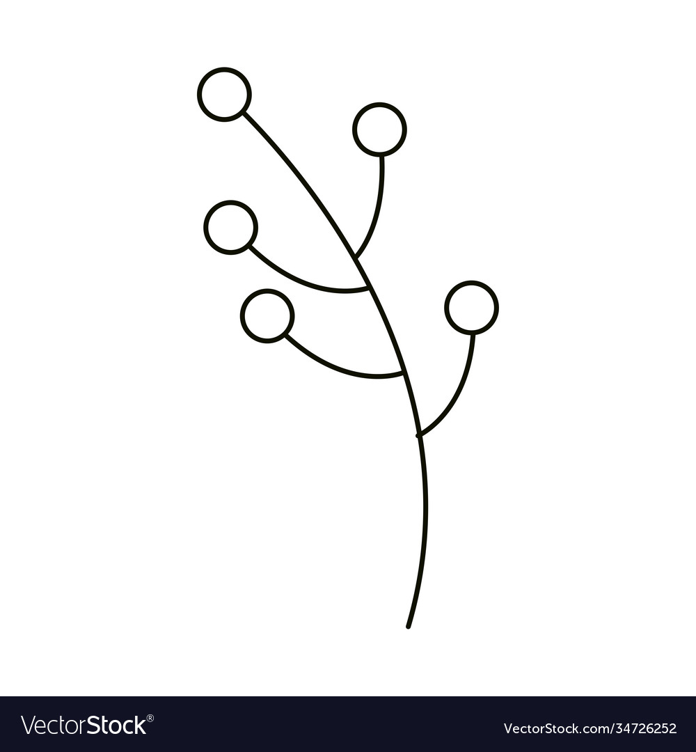 Leaves line icon style branch berries nature