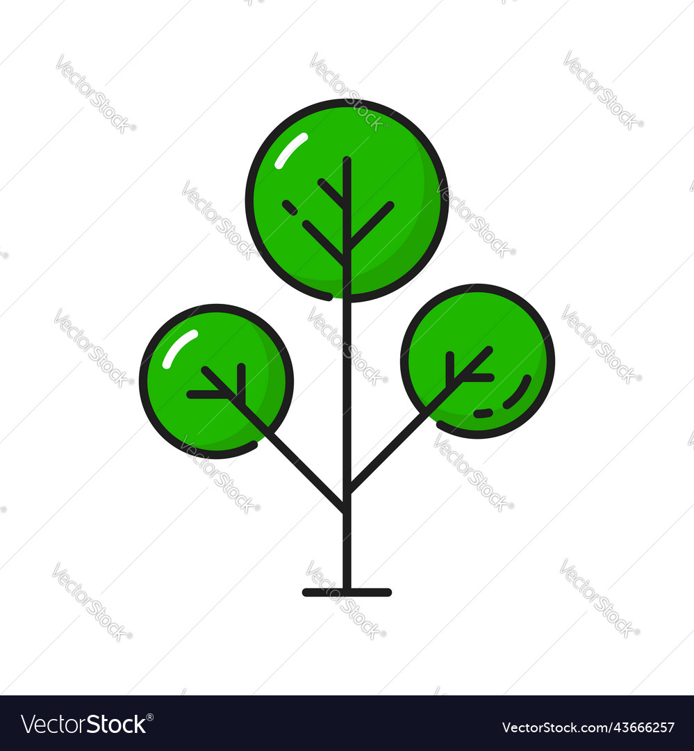 Tree icon green forest oak or pine in thin line Vector Image