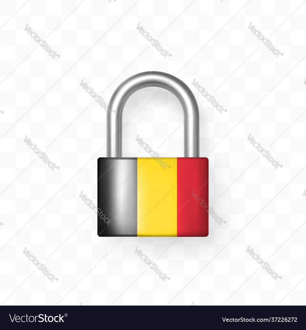 Secure enclosed padlock with image vector image Secure enclosed padlock with image