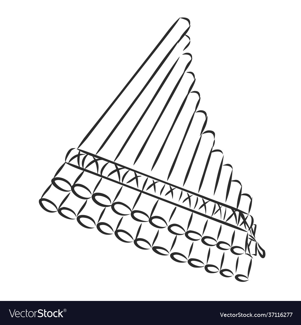 Pan flute music instrument sketch