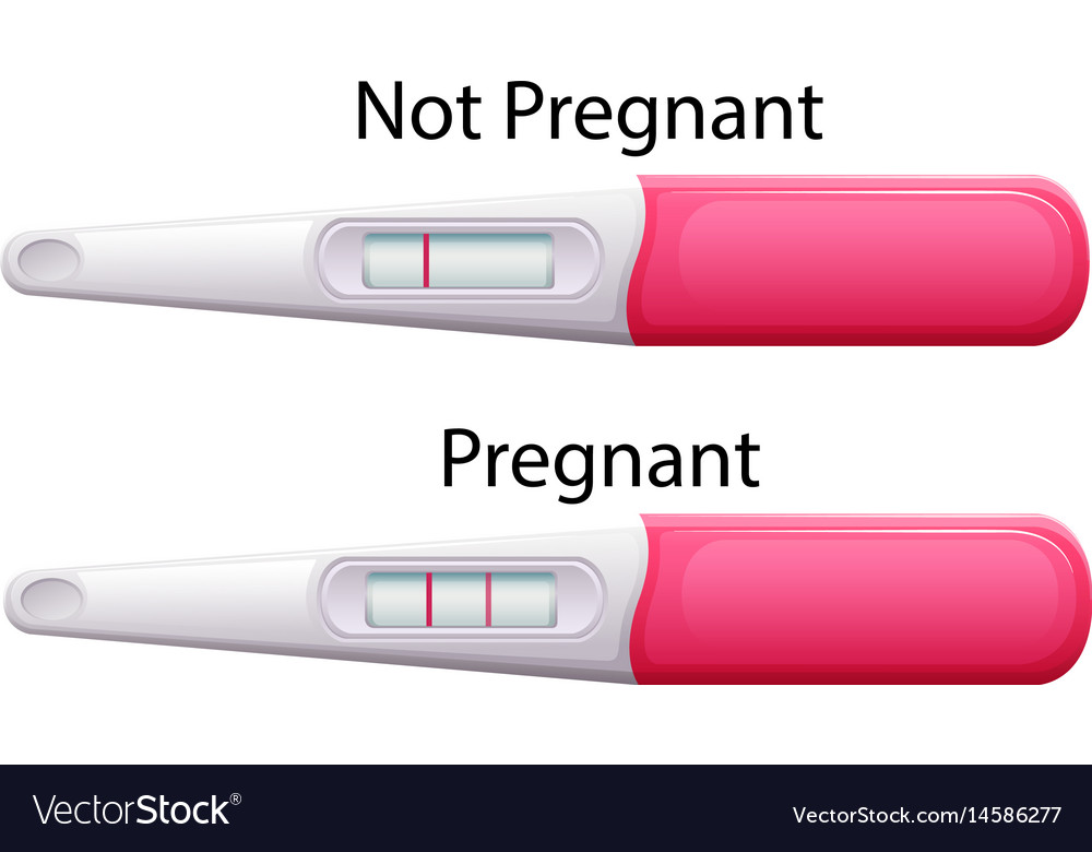 Pregnancy Test Sticks With Results Royalty Free Vector Image