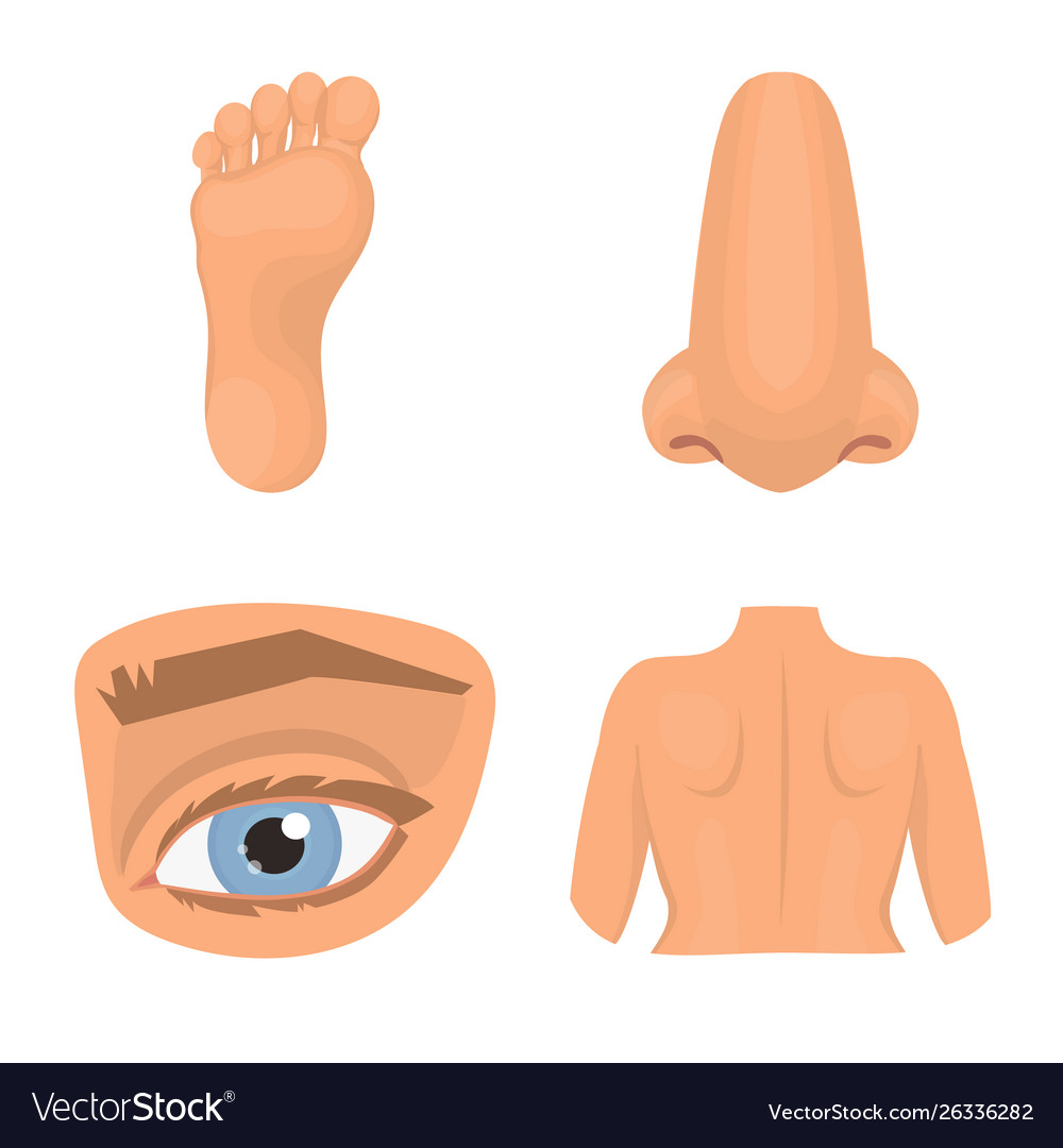 Isolated object body and part sign collection