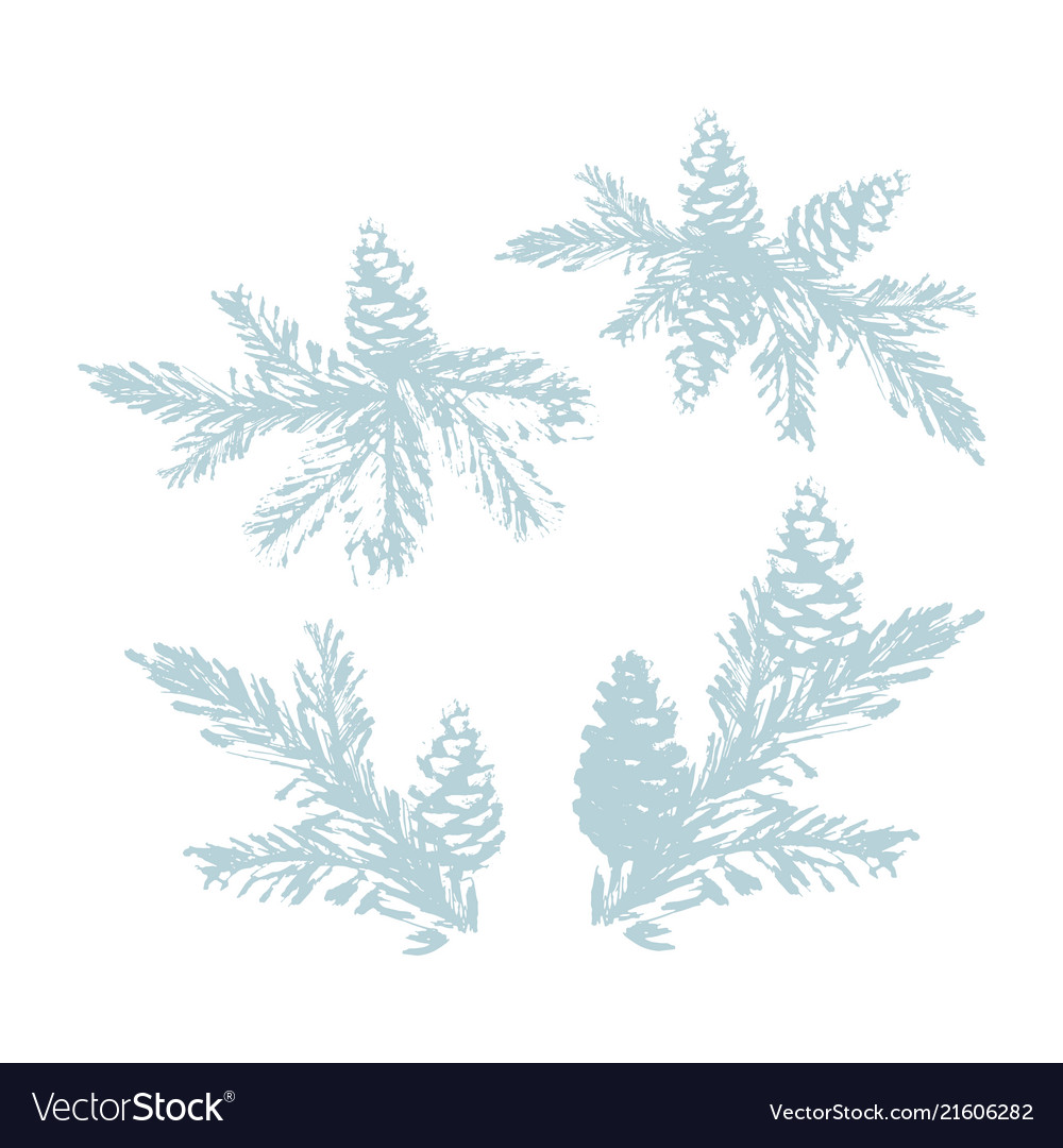 Merry christmas tree spruce cone hand drawn branch