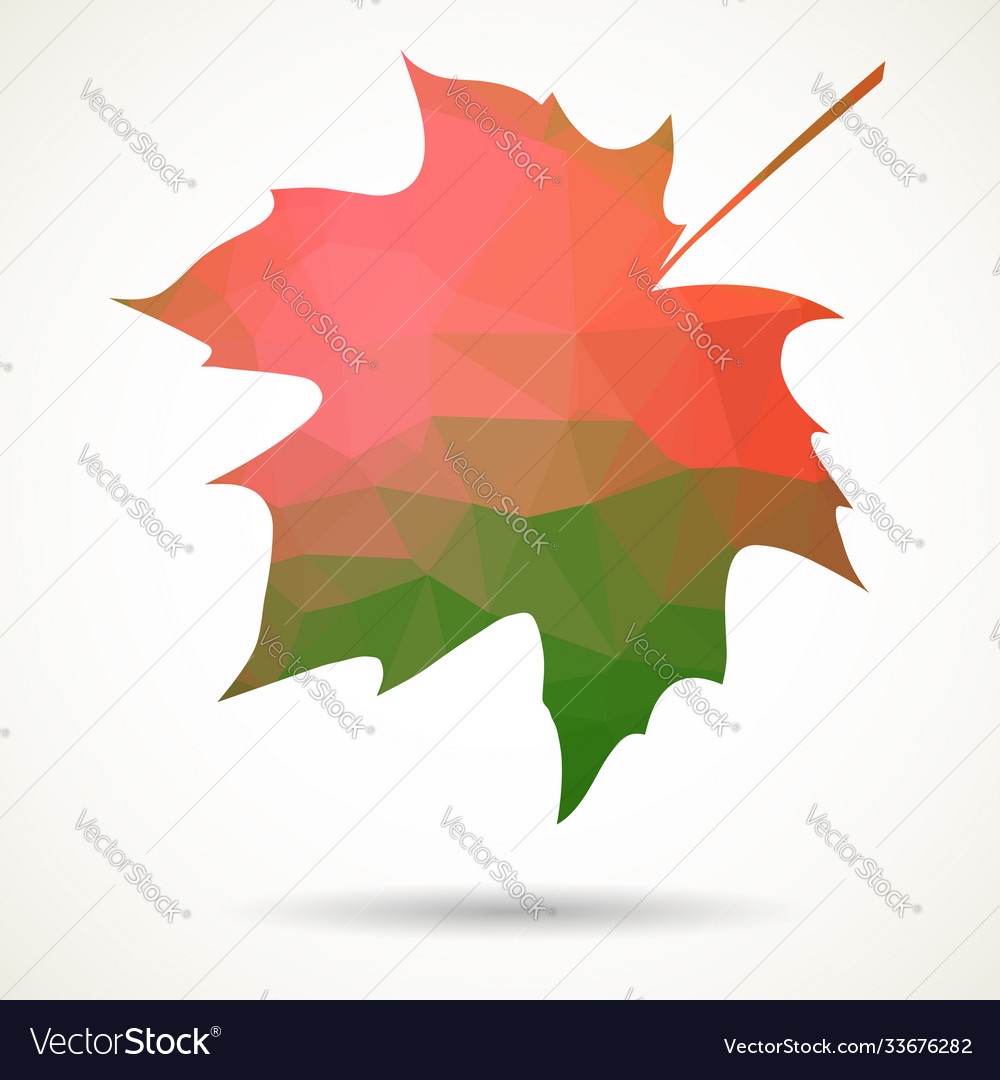 Triangular maple leaf