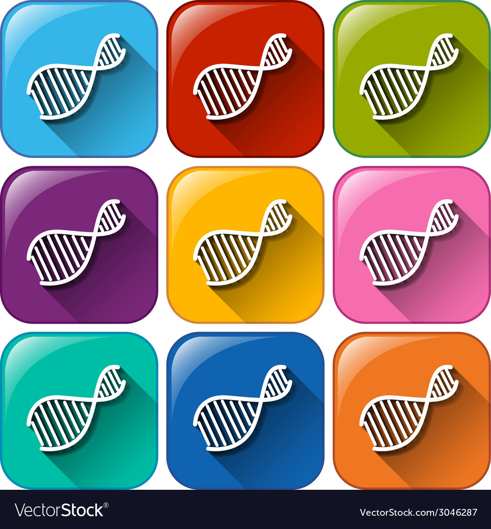 Dna icons Royalty Free Vector Image - VectorStock