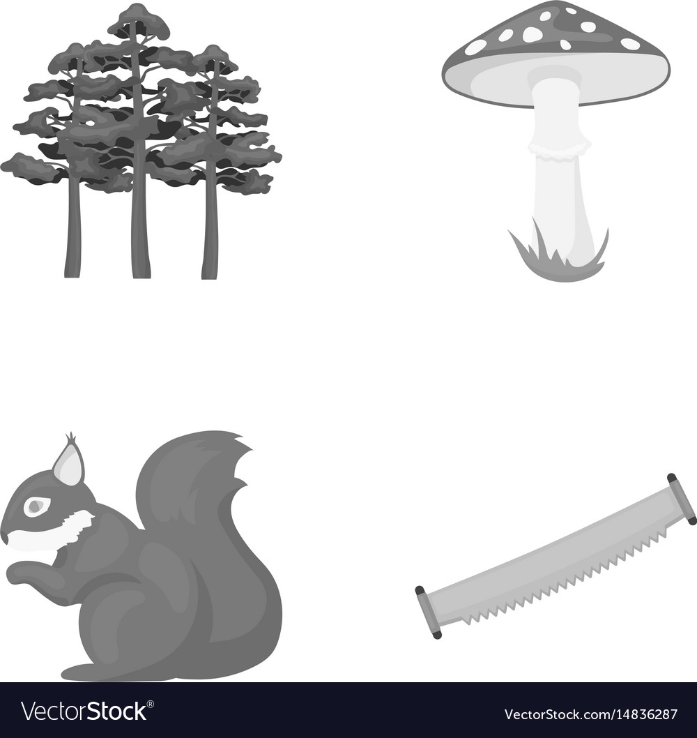 Pine poisonous mushroom tree squirrel saw