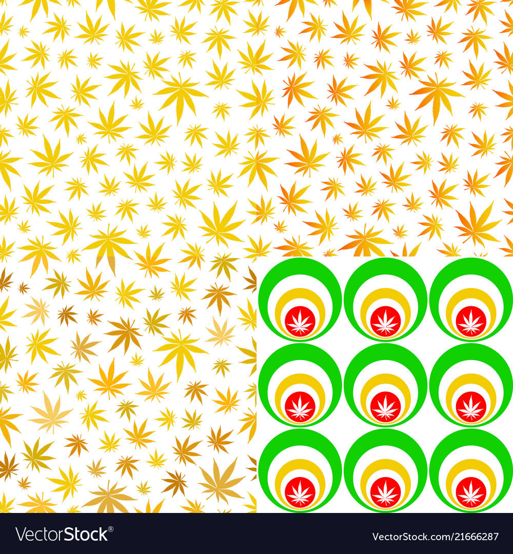 Seamless patterns with cannabis leaves yellow vector image Seamless patterns with cannabis leaves yellow