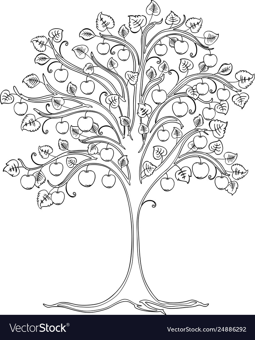 A Contour Drawing Decorative Apple Tree Royalty Free Vector