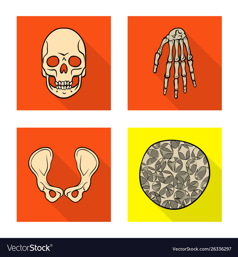 Isolated object bone and skeleton sign Vector Image Isolated object bone and skeleton sign