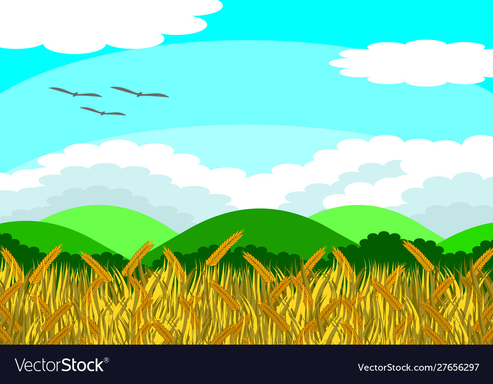 Rice Field Day Time Royalty Free Vector Image Vectorstock