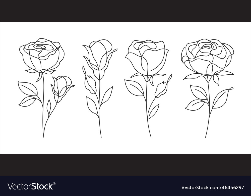 Set of 4 roses line art drawing decorative Vector Image