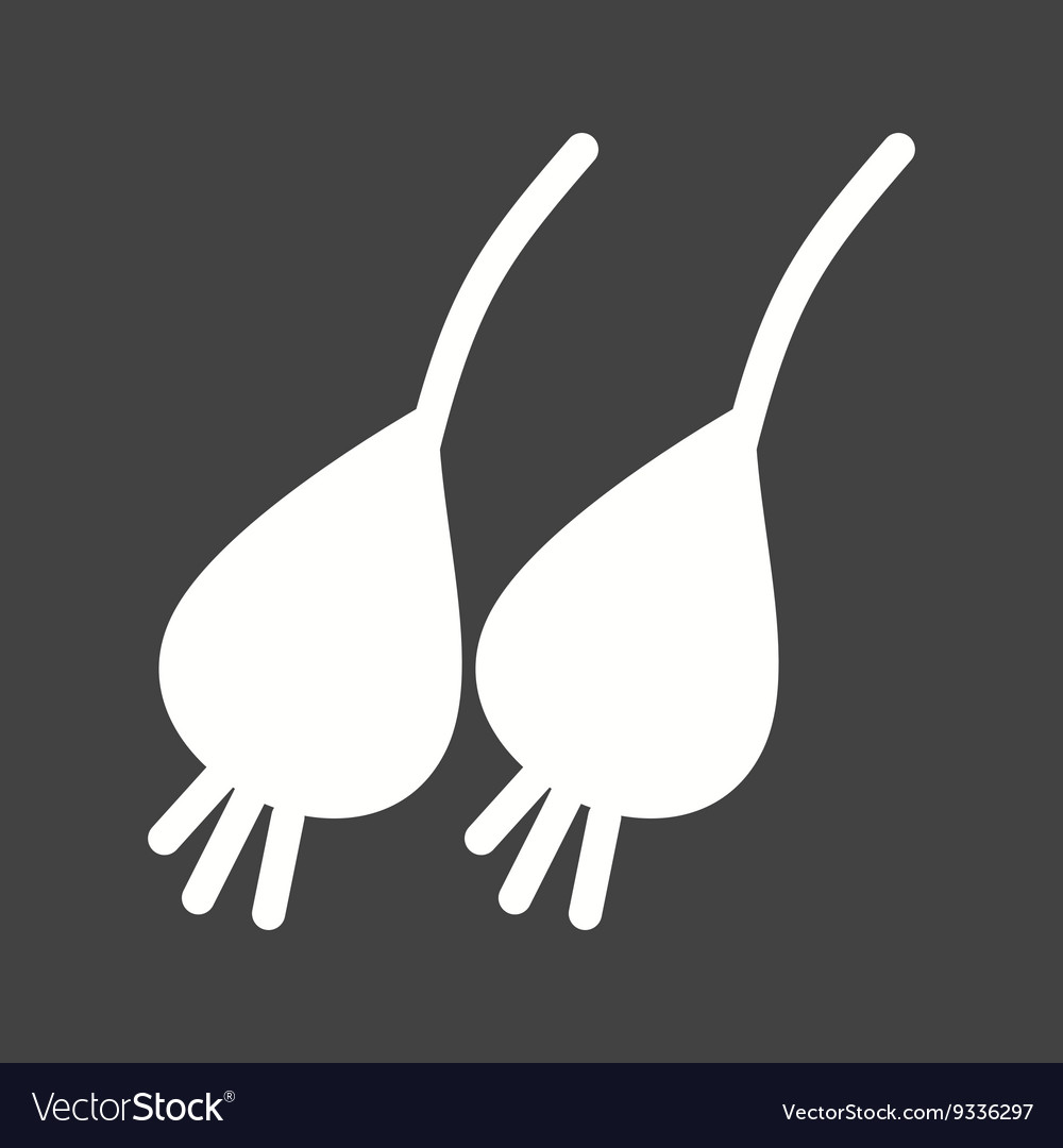 Spring onion