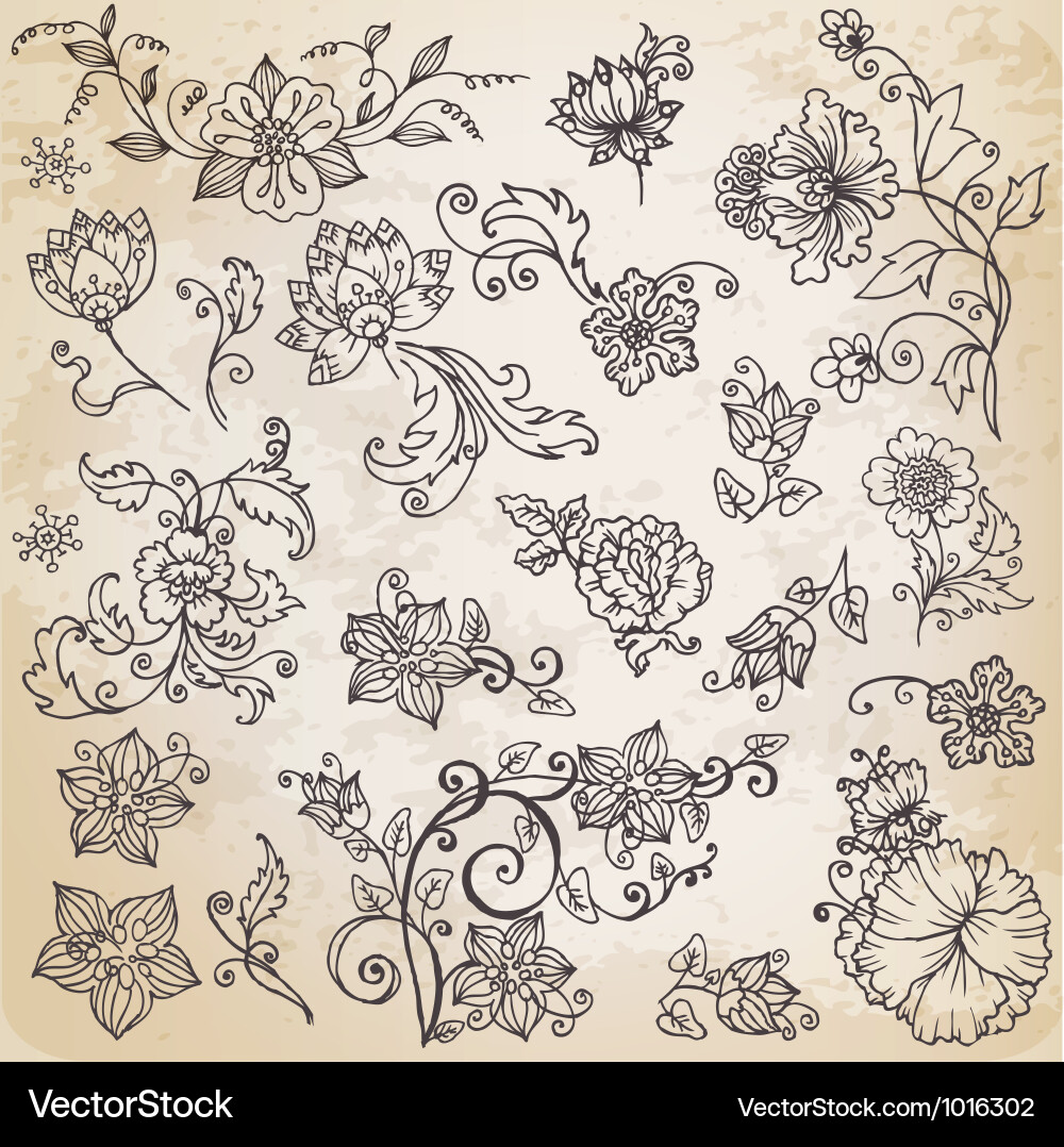 Beautiful floral elements Royalty Free Vector Image