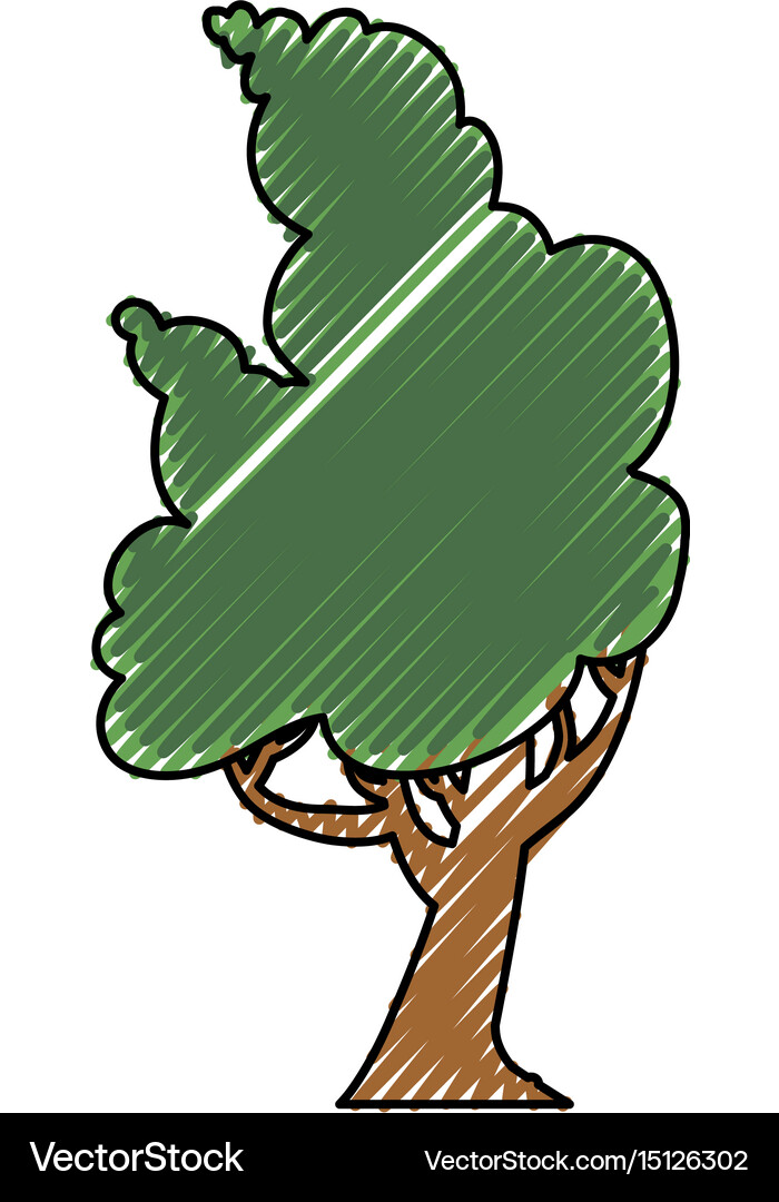 Beautiful tree isolated Royalty Free Vector Image