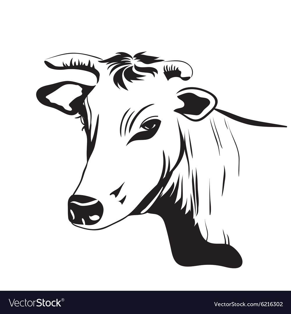 Cow drawing ornament decoration Royalty Free Vector Image