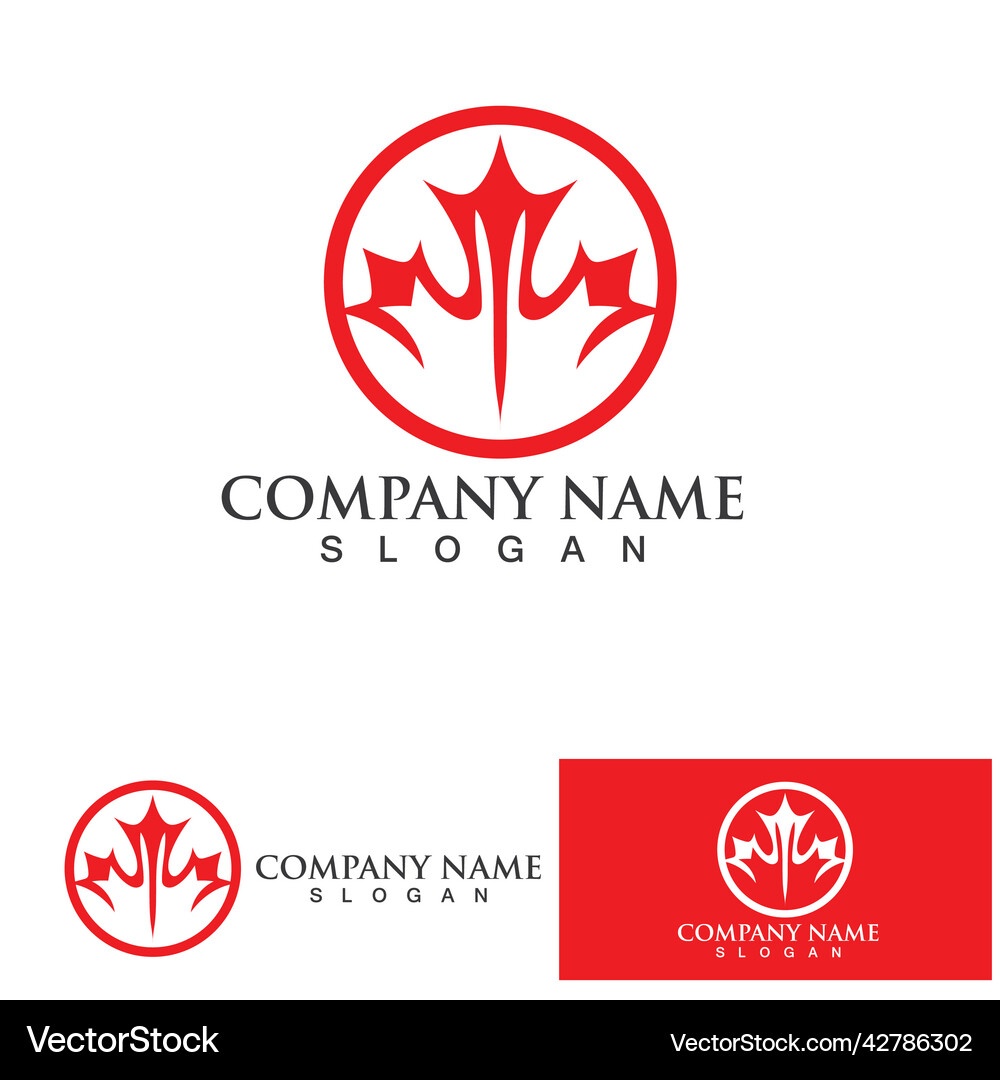 Maple leaf logo design template Royalty Free Vector Image